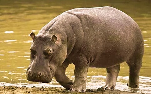 ���R��(hu��)�w��������