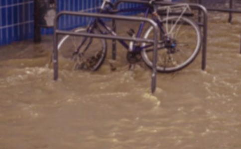 關(guān)于洪水作文(10篇)