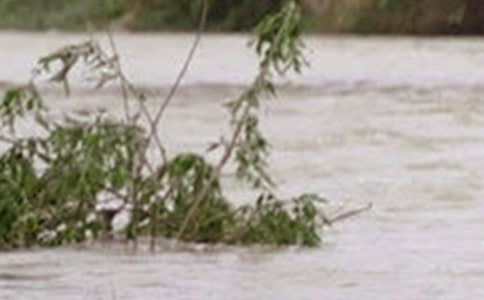 馮家山水庫(kù)洪水標(biāo)準(zhǔn)風(fēng)險(xiǎn)分析