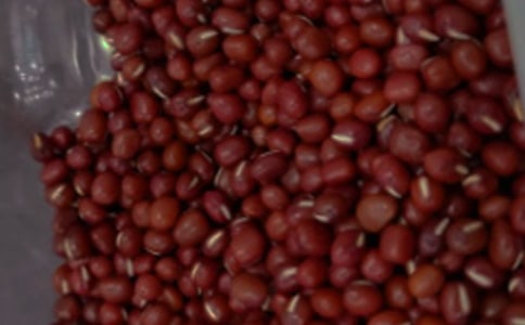 實用的紅豆作文400字