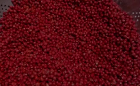 紅豆杉的感恩作文700字