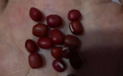 紅豆作文400字(通用27篇)