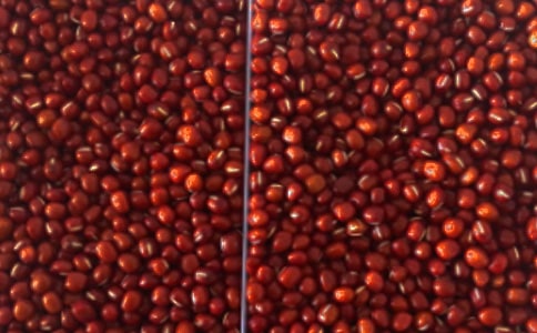 創(chuàng)業(yè)點(diǎn)子:大學(xué)生紅豆傳情中心