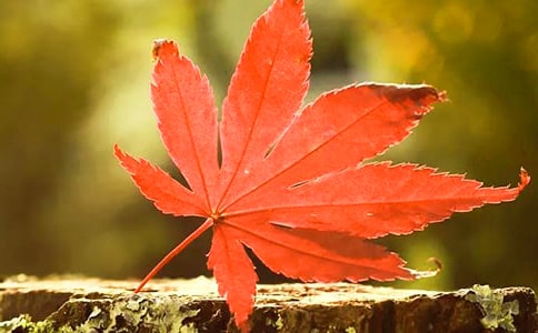 �t�~��������