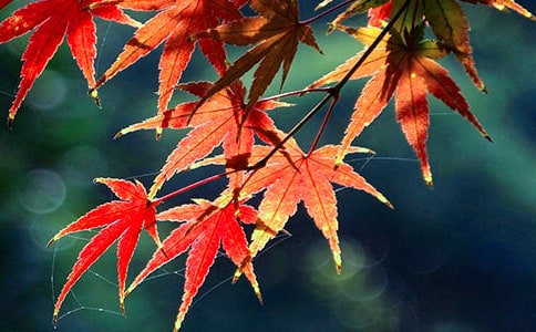 ��B��(j��)�ϼt�~�Ȍ�(d��o)���~ͨ��