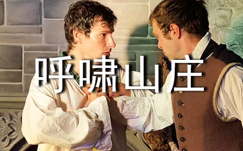 最新呼嘯山莊讀后感通用