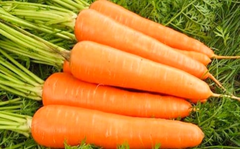 胡蘿卜美味食譜 瘦身快速沒商量