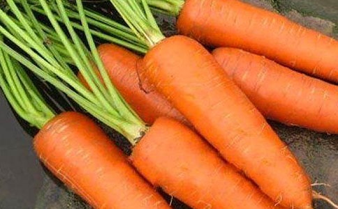 大班幼兒胡蘿卜的旅行健康教案