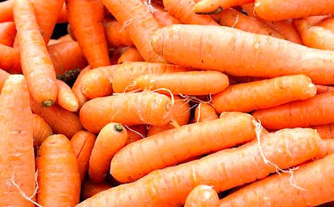 胡蘿卜500字作文