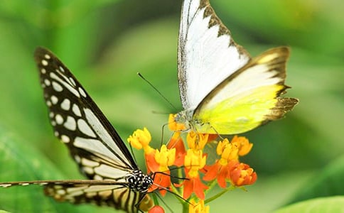 ������g(sh��)�����ĺ����̰�