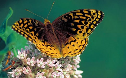 С�����g(sh��)���(d��ng)�����ĺ����̰�