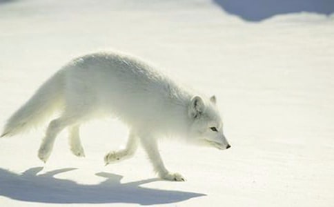 ��؂�c���f����(��)