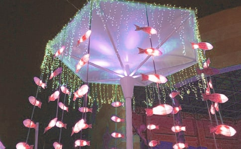 ����ʮ���^����