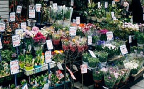 ���еĻ�������