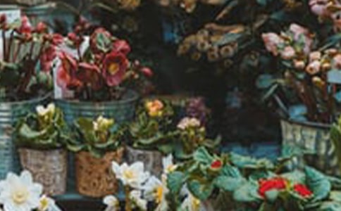 ȥ�����I������