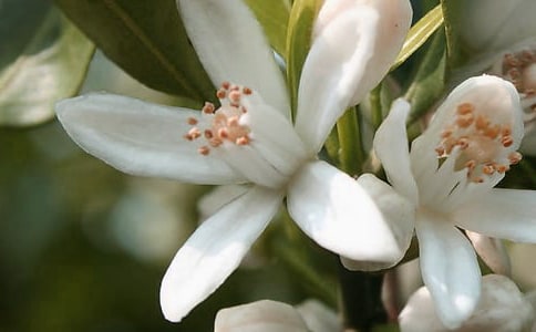 �_��ӛ����̎�Ļ��䃞(y��u)������