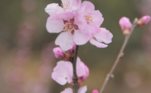 ��ϧ����Ľk������