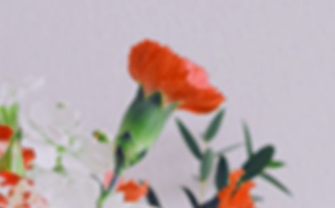 大班美術(shù)美麗的花朵教案6篇