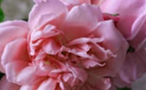 ͯȤ���^�σɸ�횣��������������w�M(j��n)�������������ֳ���(��һ����)