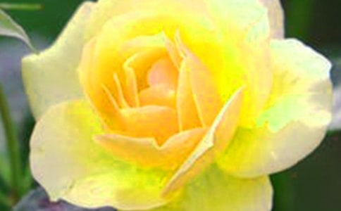 �����h(yu��n)������������ܛ�Ļ�������ɢ��