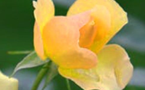 �Ҳ������ҵĻ�������400��