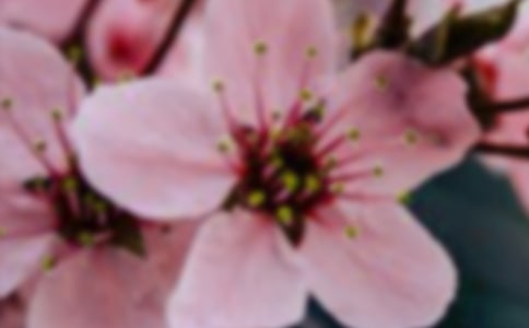 �茑����Ļ�������250��