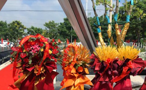 大班散文詩欣賞《夢(mèng)姐姐的花籃》說課稿