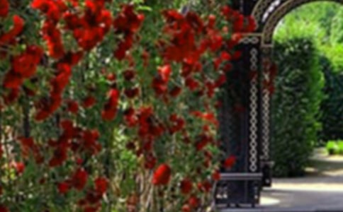 ���]���������@����