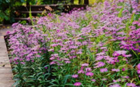 �������@����10ƪ[��(y��u)�x]