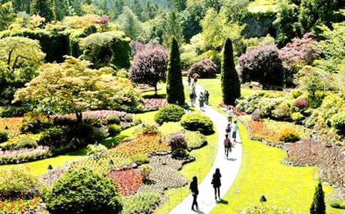 ����(sh��)�á��������@����8ƪ