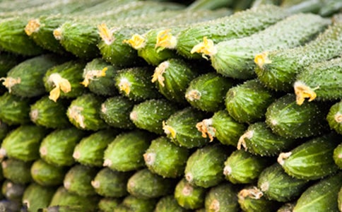 想瘦的人必看 黃瓜和西紅柿多吃還不胖