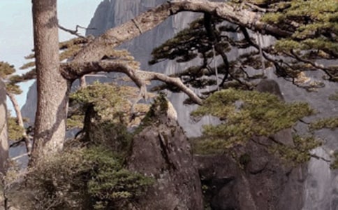 ���Sɽ���ɡ��̰�15ƪ