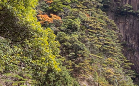 �Sɽ��(d��o)���~����15ƪ