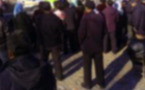 �T������N�۲��l(f��)�Ը�