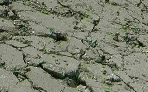 ����������ȱ��̎��