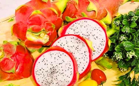 (經(jīng)典)關于火龍果的作文