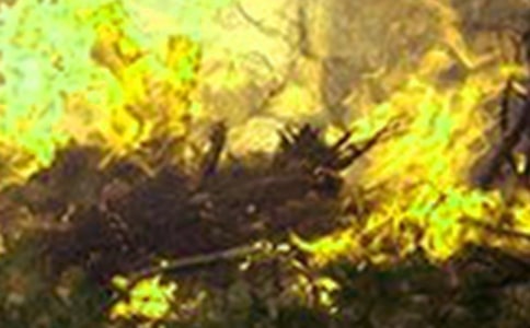 春冬火災(zāi)防控工作匯報(bào)