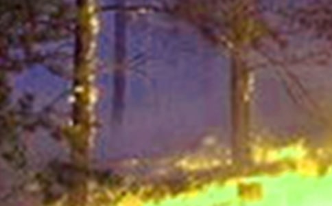 �Ђ��ط��l(f��)���˻�����ܶ��˶��������s�]�ˈ�𾯣���ʲô����