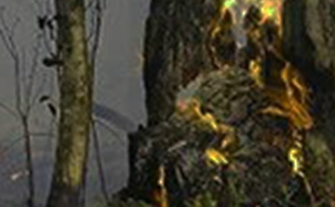 火災事故心得體會15篇