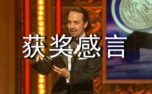 優(yōu)秀促銷員獲獎感言選集