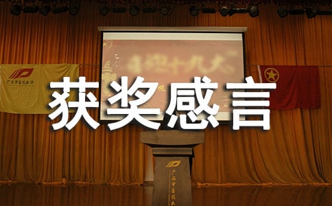 全國作文比賽獲獎(jiǎng)感言