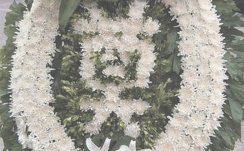 網(wǎng)上祭奠英雄的作文