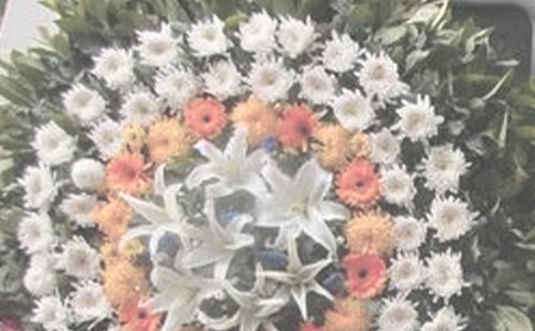 祭奠逝去的青春作文