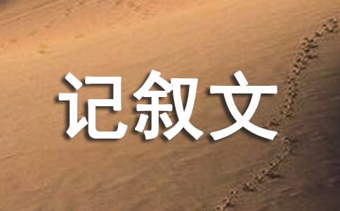 歡樂聯(lián)歡會記敘文