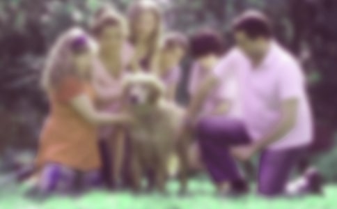 һ�꼉(j��)��ͥ�����ĵ��w��(hu��)8ƪ