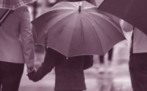 ԇՓ�ك�Ӣ�Z(y��)��ͥ������Փ�c��(sh��)�`��Փ��