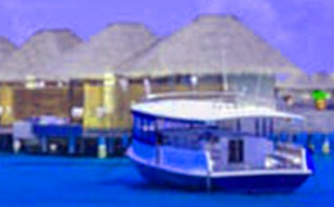 ��ȫ�^(q��)�W�����L�������g��һ���ŷ��ģ����x11ƪ��