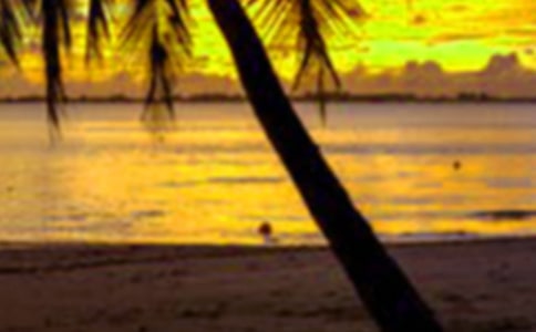 2023年致全區(qū)學(xué)生家長寒假期間的一封信