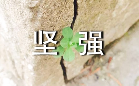 關(guān)于一個(gè)堅(jiān)強(qiáng)作文集合7篇