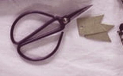 ����ʯ�^������w���̰�